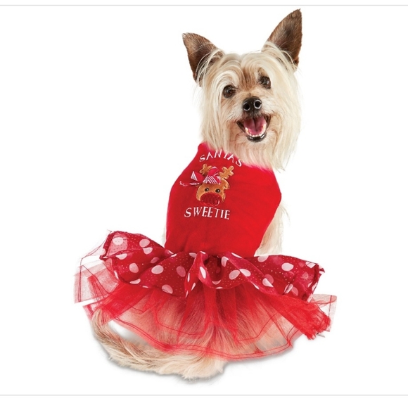 Red Ms. Claus Dog Costume, Large - Picture 1 of 5